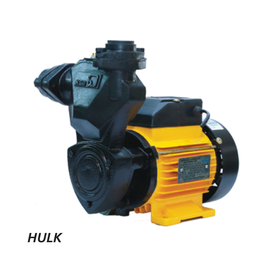 KSB Aqua Hulk II 0.5 HP Centrifugal Pump